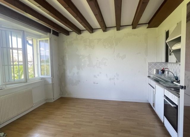 Studio Ã  deux pas du ChÃ¢teau de Prangins - photo 2