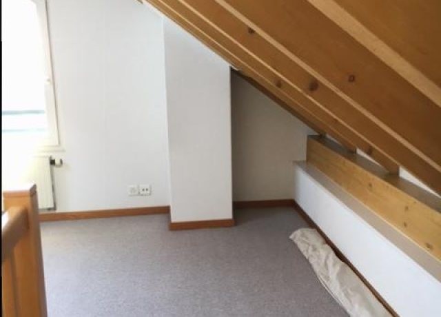Charmant appartement de 2 piÃ¨ces avec mezzanine - photo 3